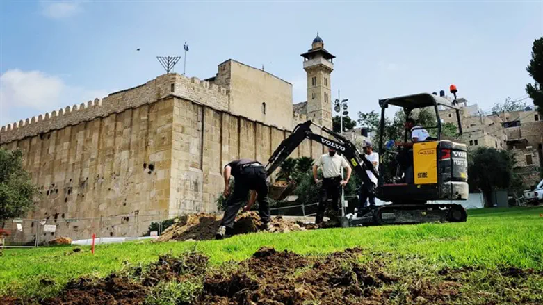 התמונה בה השתמשו בארגון עמק שווה