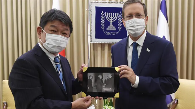 הרצוג ומוטגי