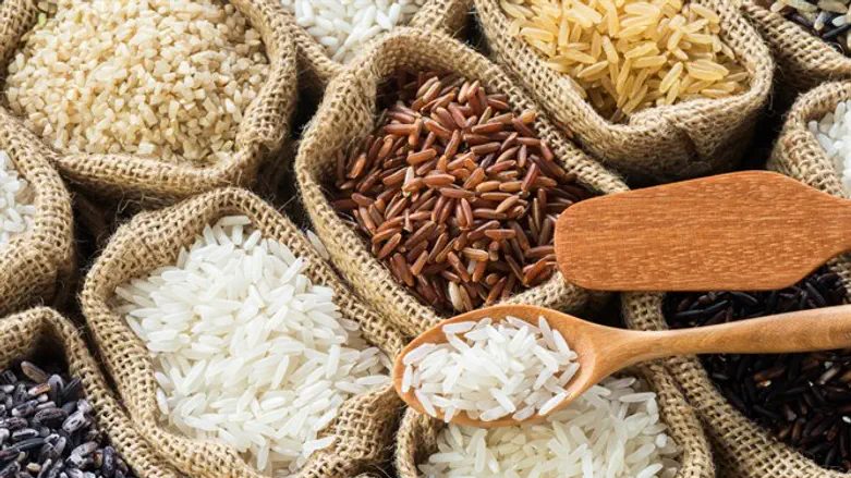 משם הכל התחיל