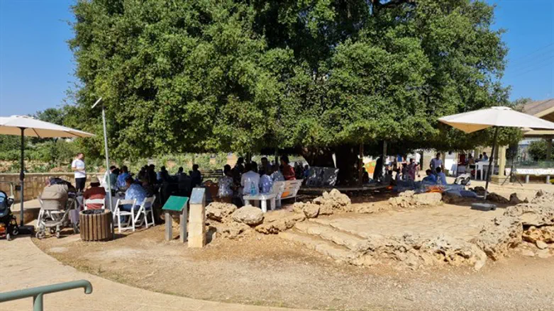 An event at the Lone Oak Tree plaza