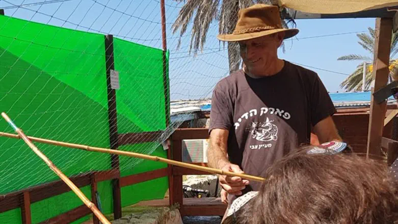 דיג בפארק הדיג