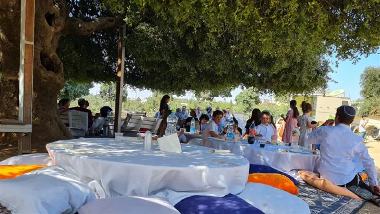 ברית מילה תחת האלון הבודד