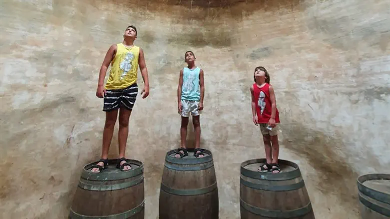 ילדי משפחת בורבא במרתף היין העתיק של גבעות עולם