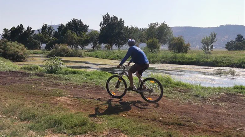 רכיבת אופניים באגמון