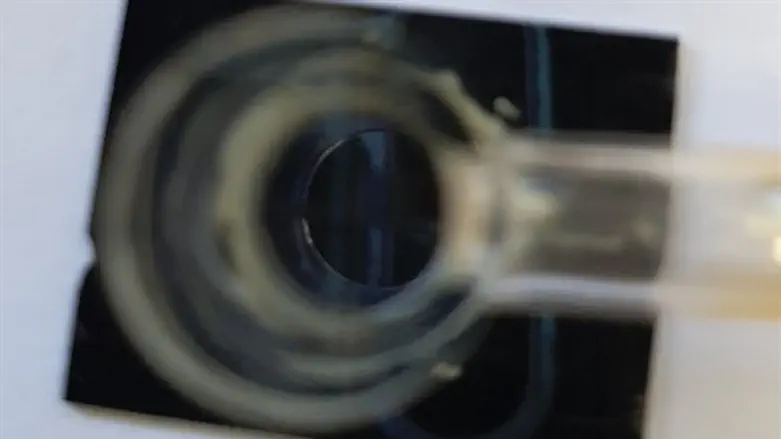 שבב היברידי