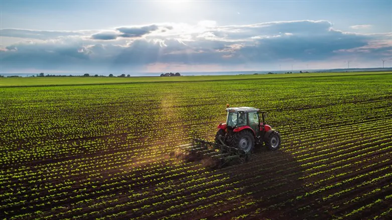 שומטים את הקרקע וגם את ההלוואות