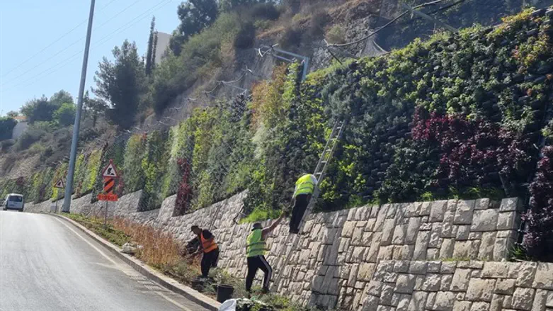 טפטוף מים מדויק לכל צמח