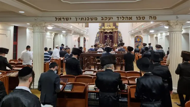 קייב
