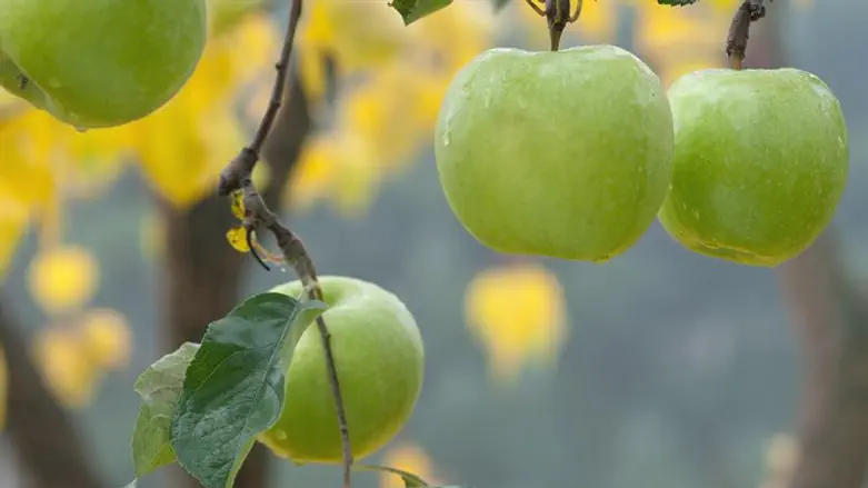 סימנים לחג וסימנים לזוגיות