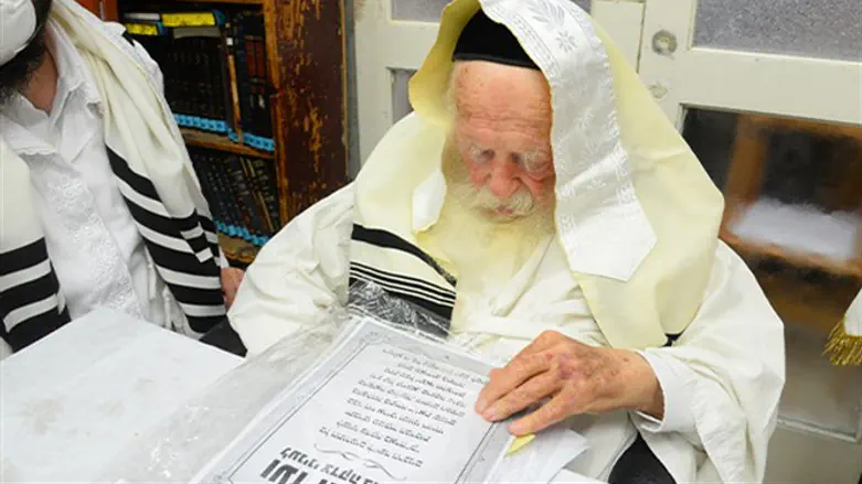 הרב קנייסבקי