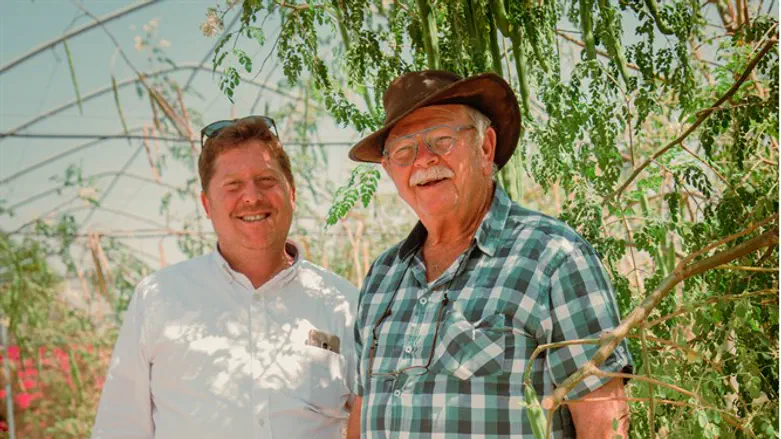 מוטי סנדר ומנשה לוי