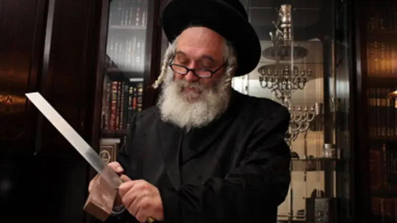 Kosher slaughter (shehitta)