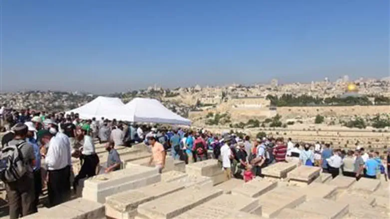 Honoring Rabbi Kook