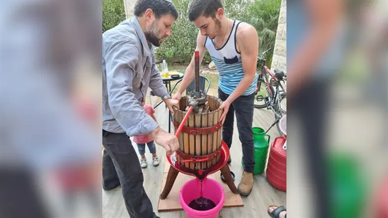 הסמוטריצי'ם סוחטים את היין