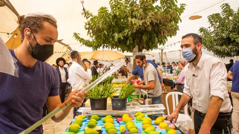 Preparing for Sukkot in Jerusalem