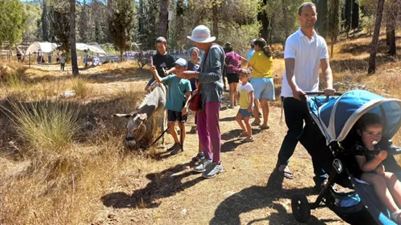 Суккот в Гуш-Эционе