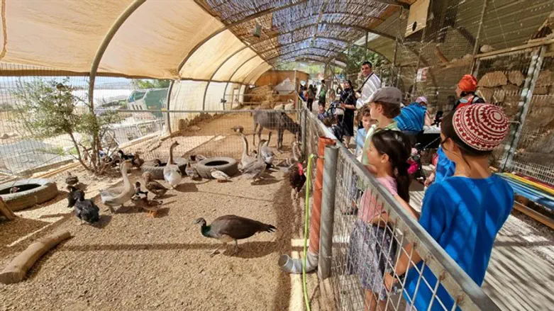 חול המועד סוכות בגוש עציון