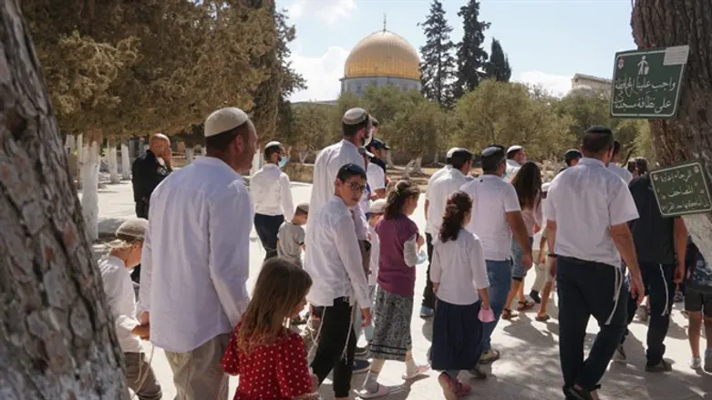 Jews on Temple Mount