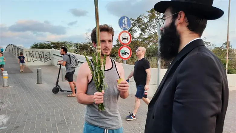 נטילת לולב בחג