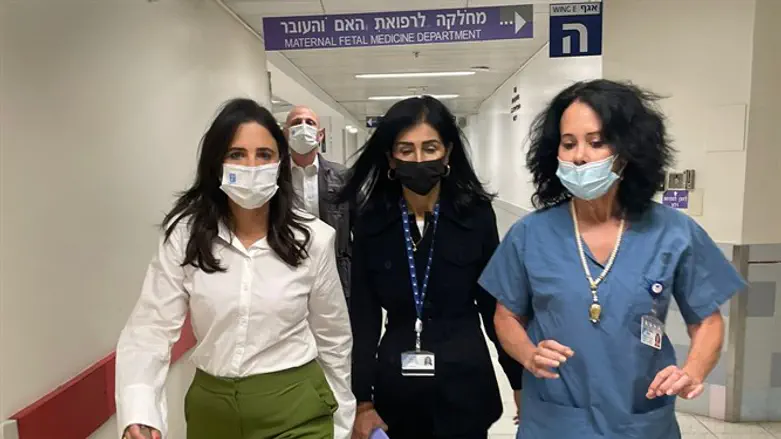 פרופ' מטות ושקד