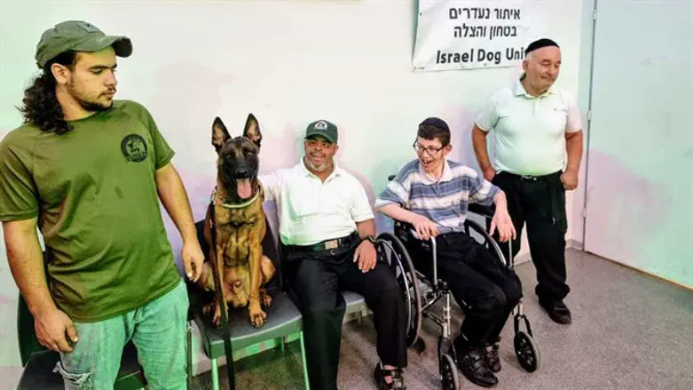 IDU exhibition for Alei Siach