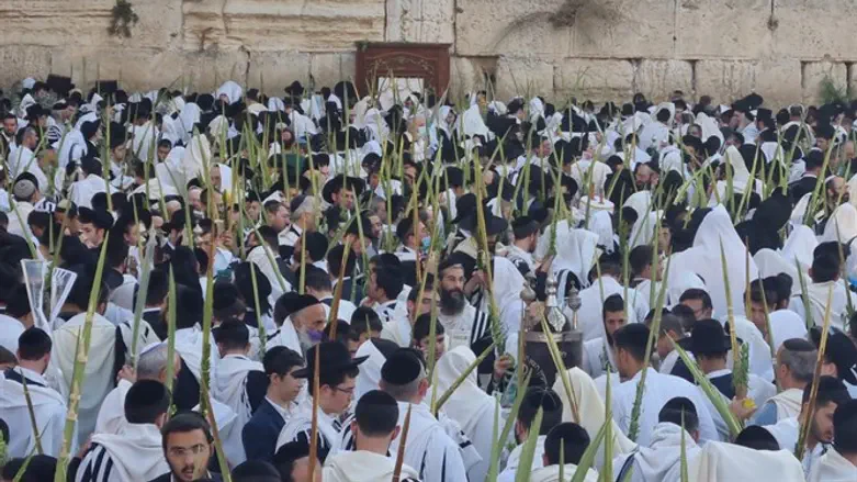 הושענא רבה בכותל המערבי