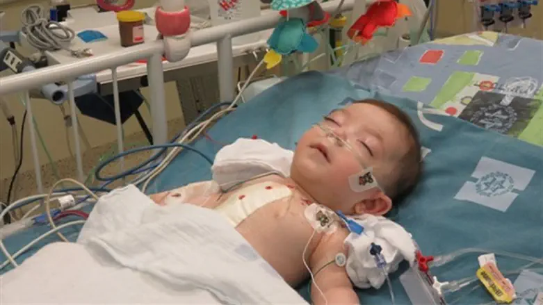 חיה רוזנבוים