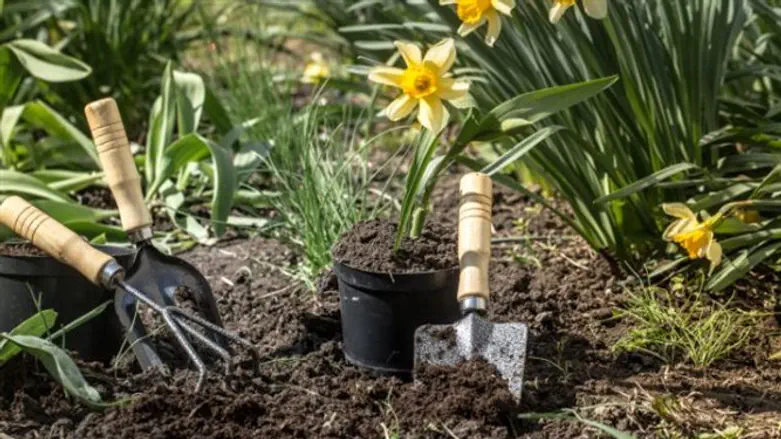 הכן גינתך לחורף