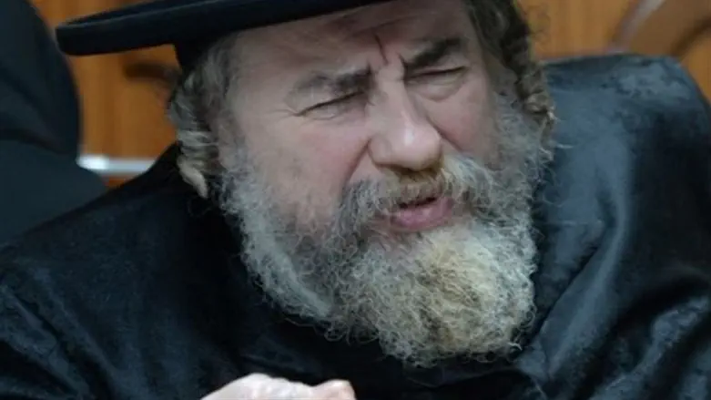 Rav Dovid Twersky, also known as the "Rachmastrivka Rebbe"