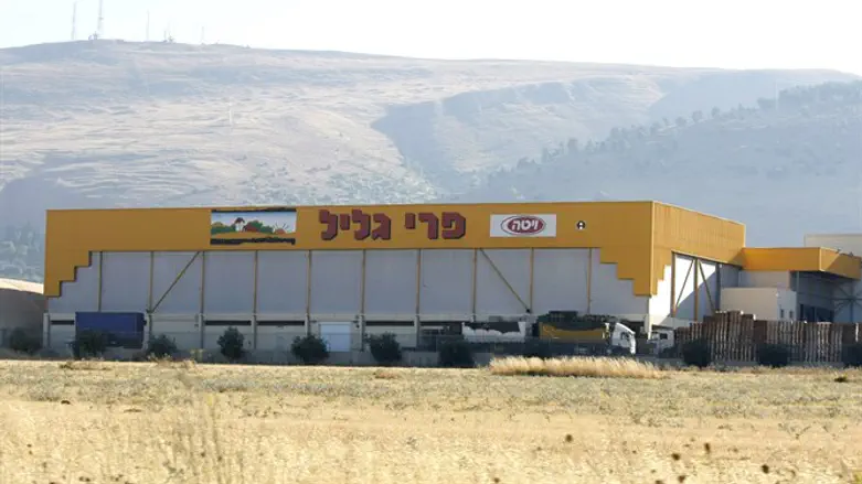 עירבו את השר לאחר שלא קיבלו את מבוקשם מנותן הכשרות. מפעל פרי גליל