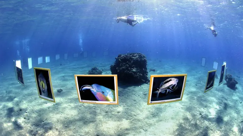 פסטיבל צלילה