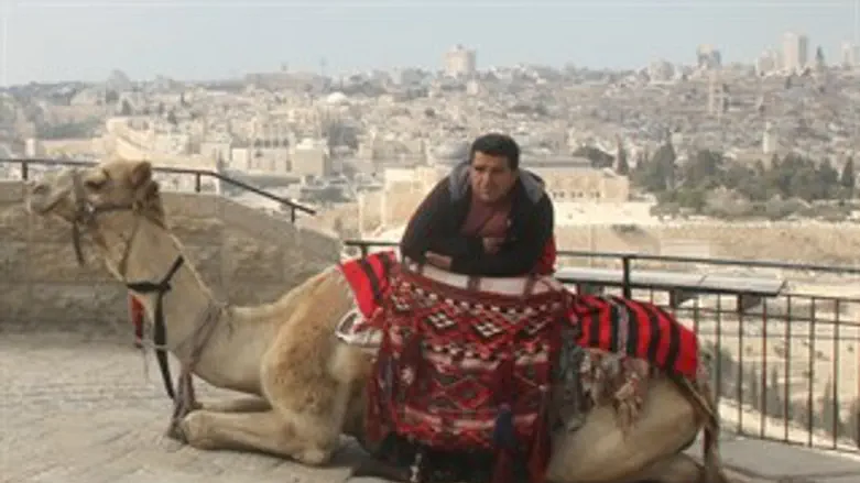 הגמל הירושלמי