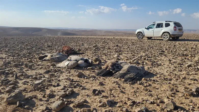 הנשים המתים שהתגלו במדבר יהודה