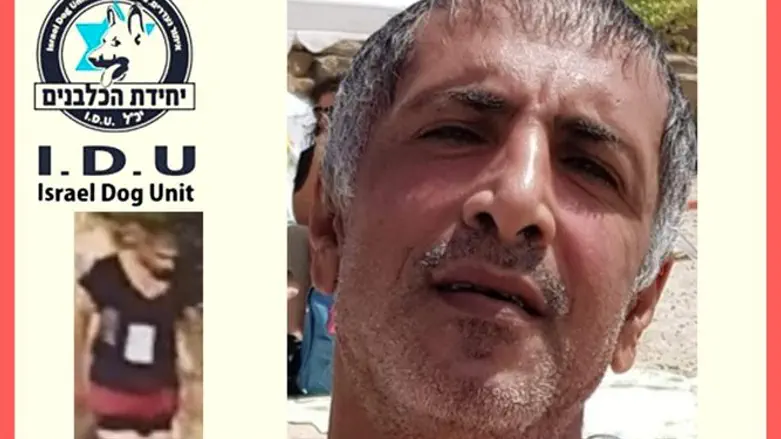 Инон Менахем