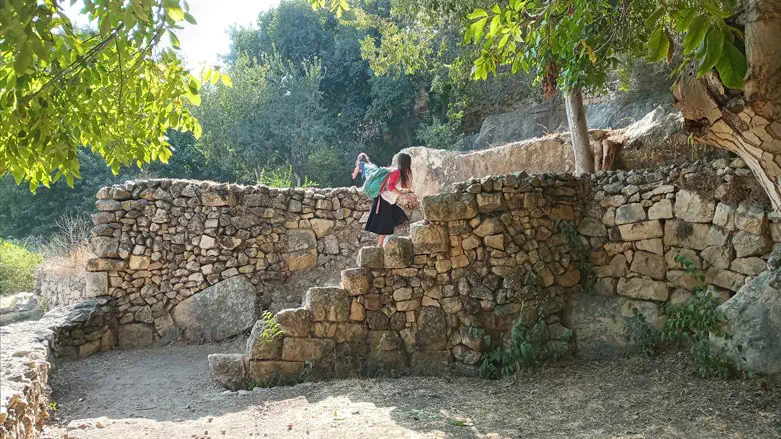 טיולים בחברון