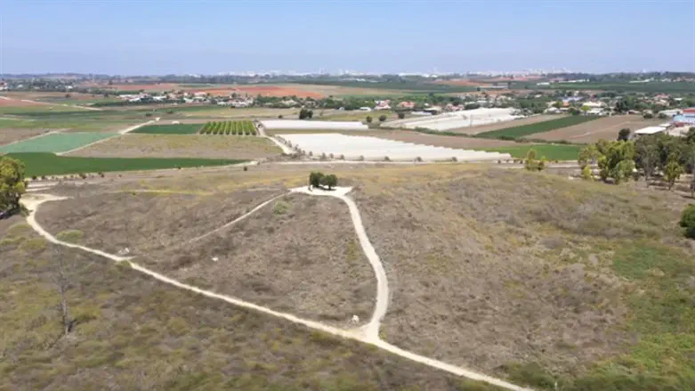 עינות גיבתון