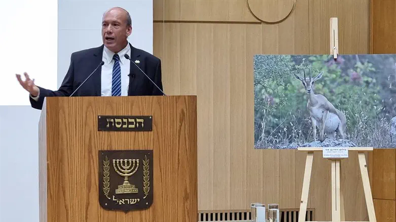 מתניהו אנגלמן