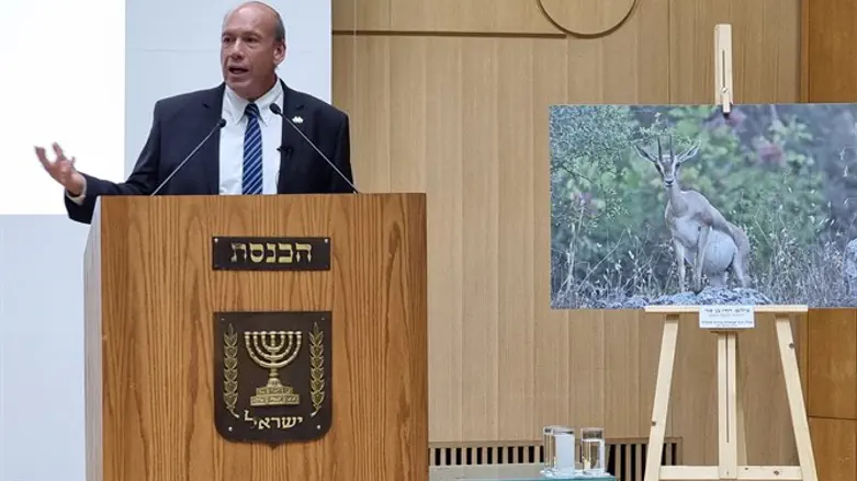 Matanyahu Engleman