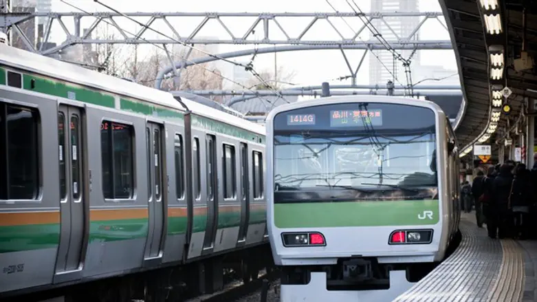 Метро в Токио