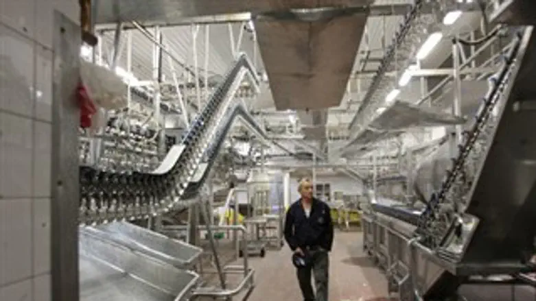 בית מטבחיים