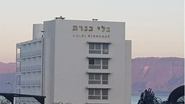 גלי כנרת- טעם של פעם ועוד