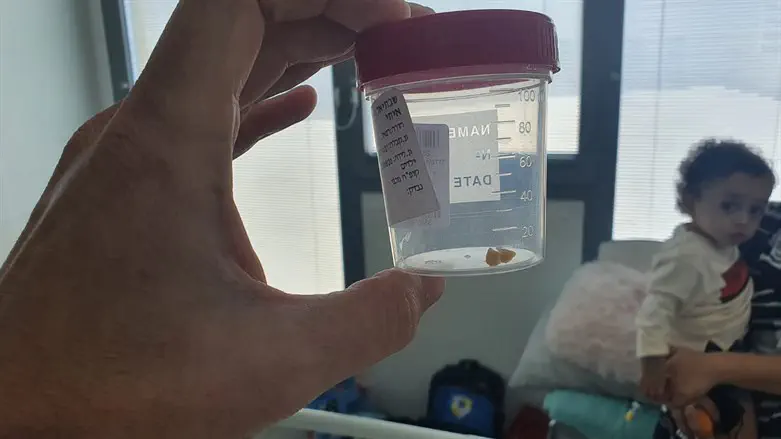 איתי עם חתיכת האגוז