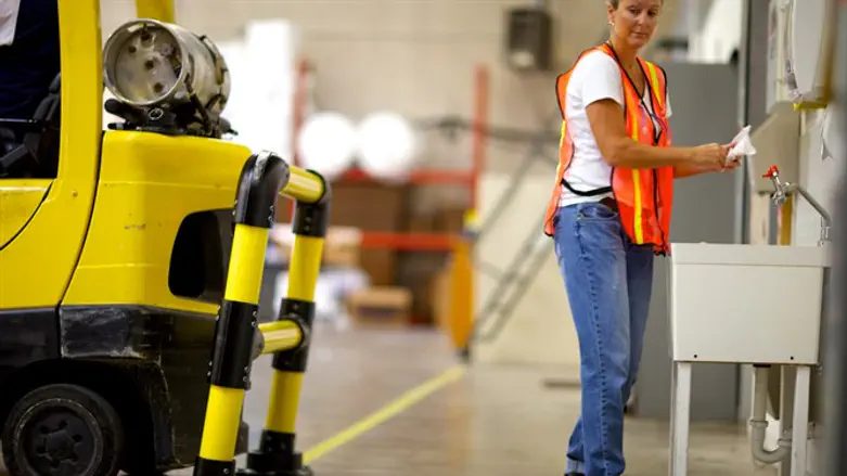 ארבל שטראוס