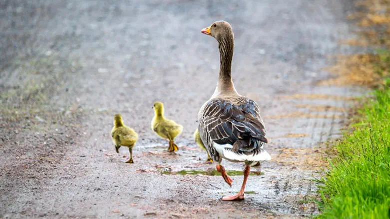 Следующий участник марафона?