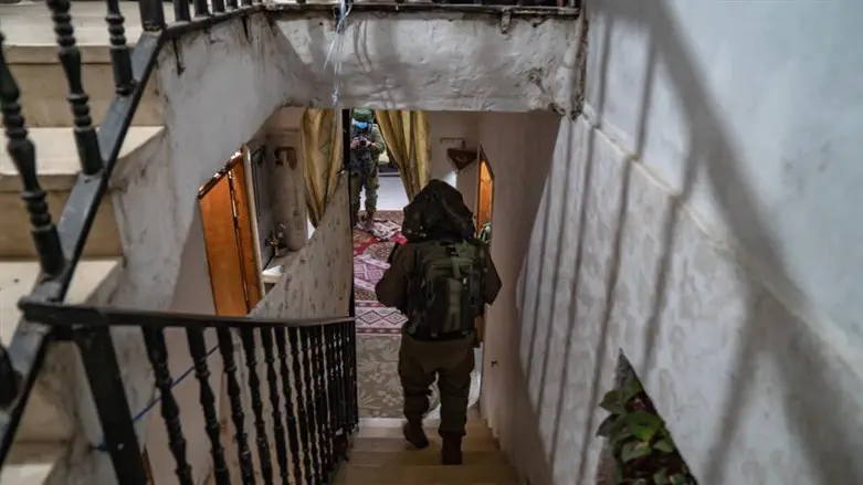 הכוחות בפעילות