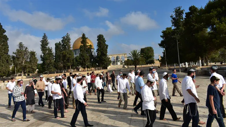 קבוצת יהודים בהר הבית