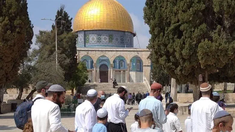 יהודים בהר הבית