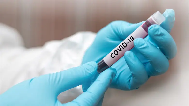 נגיף הקורונה