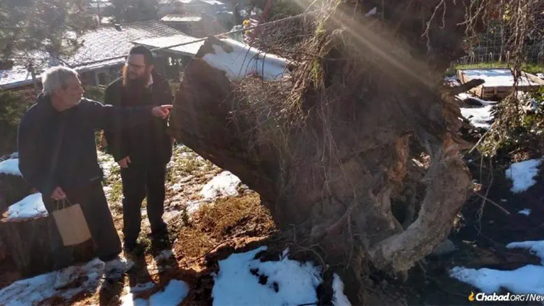 Rabbi Shmuly Hecht visits with an elderly man whose house and property were dama