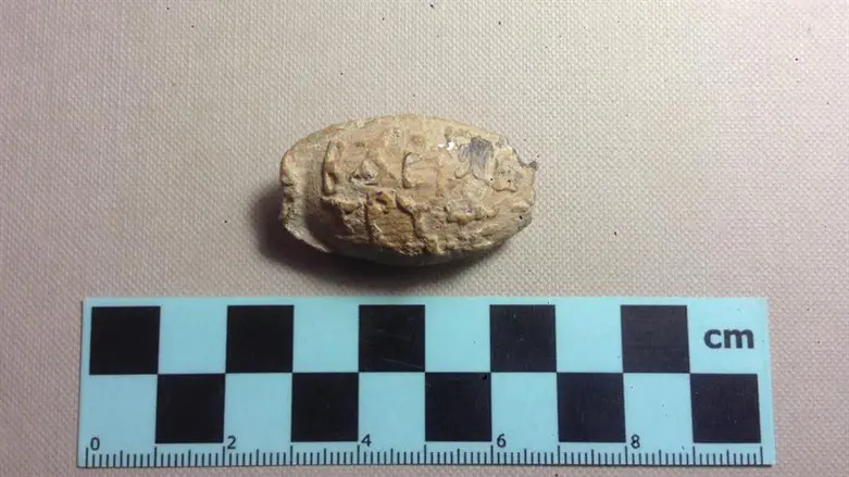 ממצא היסטורי ביהודה ושומרון